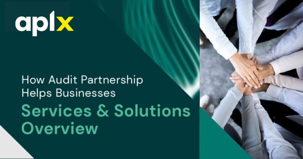 how-audit-partnership-helps-businesses