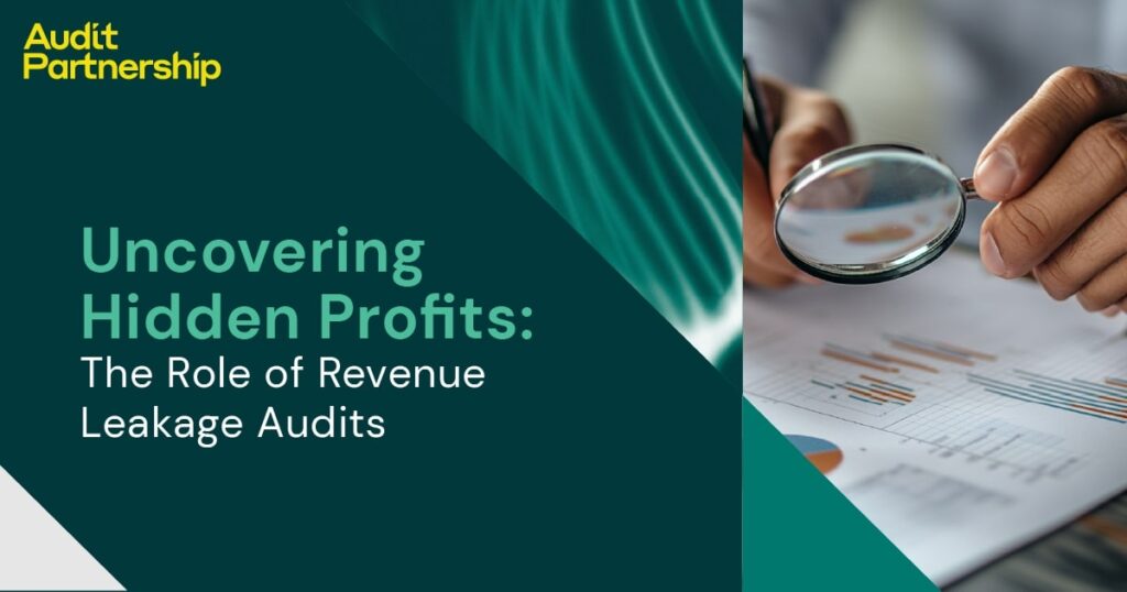 role of revenue leakage audits
