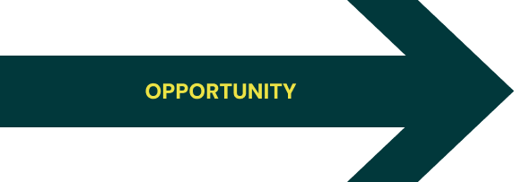 cost-recovery-opportunity-identification-audit-process